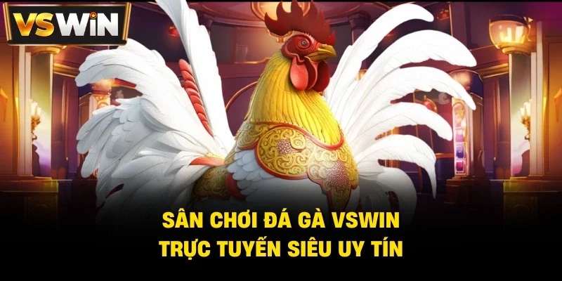 Giới thiệu về Đá Gà và Đá Gà Vswin