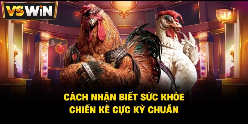 Kinh nghiệm đá Gà trên nền tảng Vswin