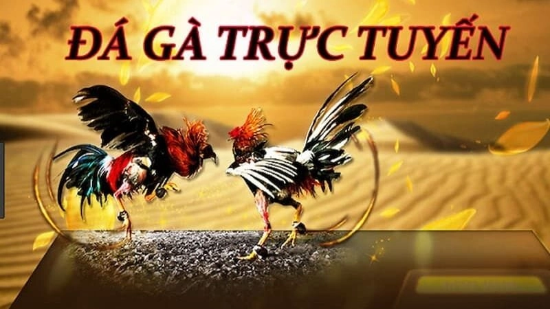 Những Kiến Thức Cơ Bản Theo Vswin Bạn Cần Nắm Vững